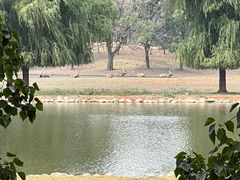 -南海子公园