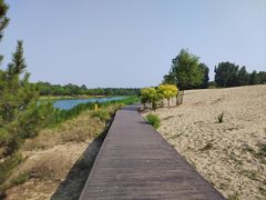 -东郊湿地公园
