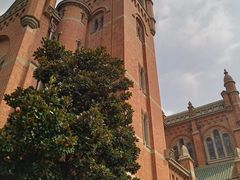 -上海佘山国家森林公园西佘山园