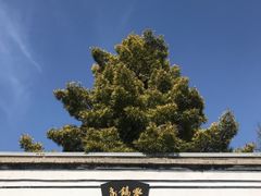-蒋氏故居