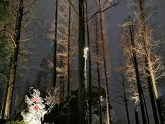 -浙江西子宾馆·瑶园咖啡厅