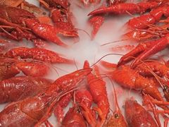 -红盔甲·小龙虾(人民广场店)
