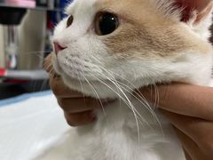 -芭比堂宠物医院·全科爱猫医院·仁德分院