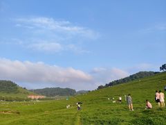 -关山草原