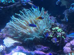 -锦艺城海洋馆