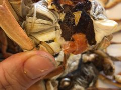 -澜悦港海鲜体验主题餐厅