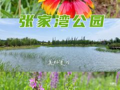 -张家湾公园
