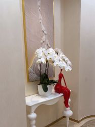 -JUVA欧华医美连锁