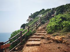 -杨梅坑