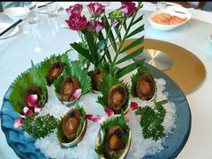 -金龙渔港(双楠店)