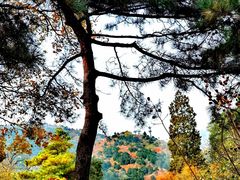-香山公园