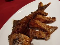 -老吉士酒家(天平路店)