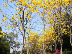 -广州市白云山风景名胜区