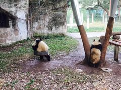 -秦云老太婆摊摊面(磁器口店)