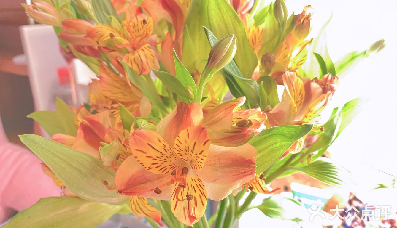 #治愈系.花#