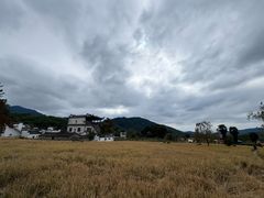 -塔川景区
