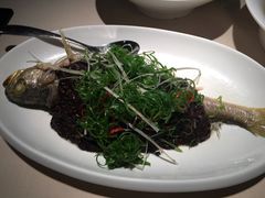-琥珀·原创臻选店(维家思店)