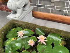 -华冠悠岚·庭院餐厅(青城后山店)