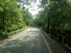 -广州都市观光巴士(粤陶巴)