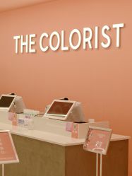 -THE COLORIST调色师