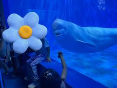 -多彩贵州城极地海洋世界