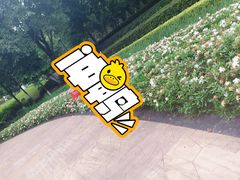 -龙头寺公园