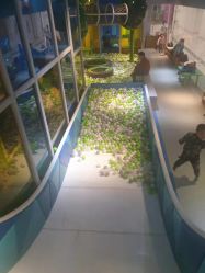 -KidSteam儿童乐园(富力城店)