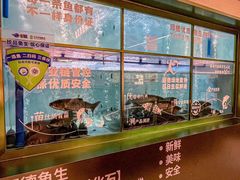 -得意咚瓜·顺德鱼生·冬瓜盅火锅