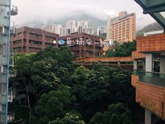 -香港大学