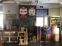 门面-吉丁鸟咖·异宠·寄养