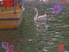 -西安汉城湖景区