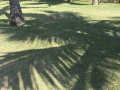 -白沙门生态公园