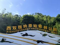 -西双版纳原始森林公园