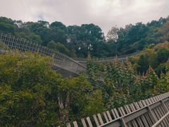 -福道
