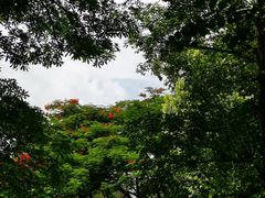 -炮台山公园