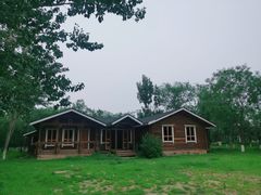 -绿堤公园