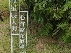 -云溪植物园