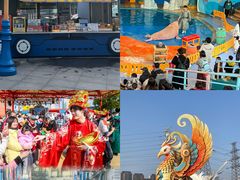 -海合安武汉极地海洋公园