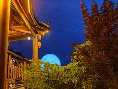 -巴倒烫陆派火锅山庄(南山总店)