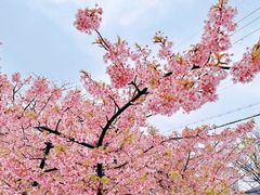 -三里河公园