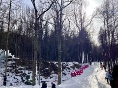 -洛阳白云山景区