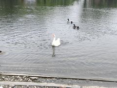 -同济大学(嘉定校区)