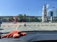 -奥特莱斯停车场