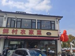 -品鲜村农家菜·阳澄湖大闸蟹(总店)