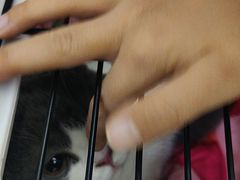 -pd派德宠物中心医院24H急重症·眼科中心·血液透析中心(嵩山北路店)