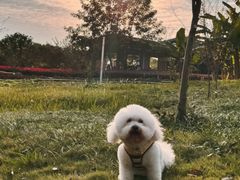 -白鹭湾湿地公园