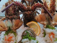 -芥末日本料理(打浦路铂尔曼旗舰店)