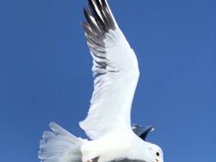 -丽江泸沽湖景区