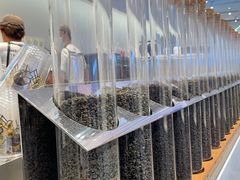-喜茶(迪士尼小镇DP店)