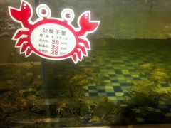 -东营蓝海御华大饭店渔歌舫(潍河路店)